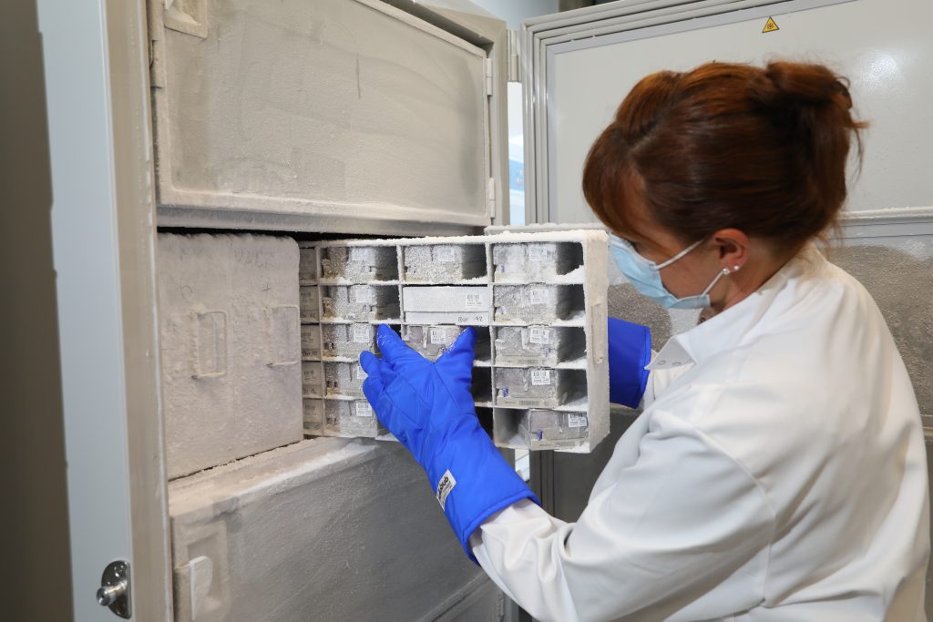 Scientist removing Covid-19 samples from a biobank