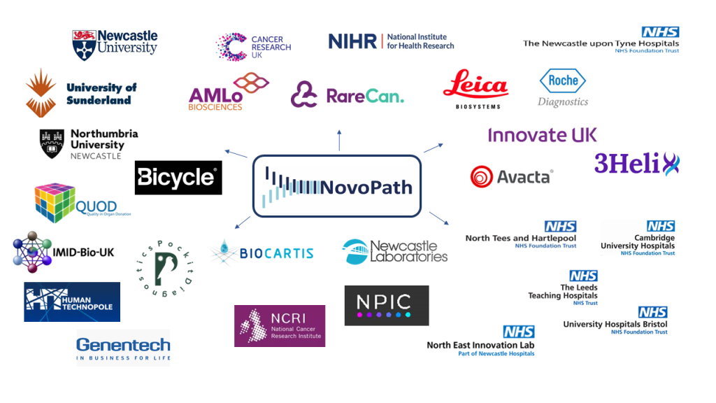 This image shows a range of company logos to show the partners Novopath works with.