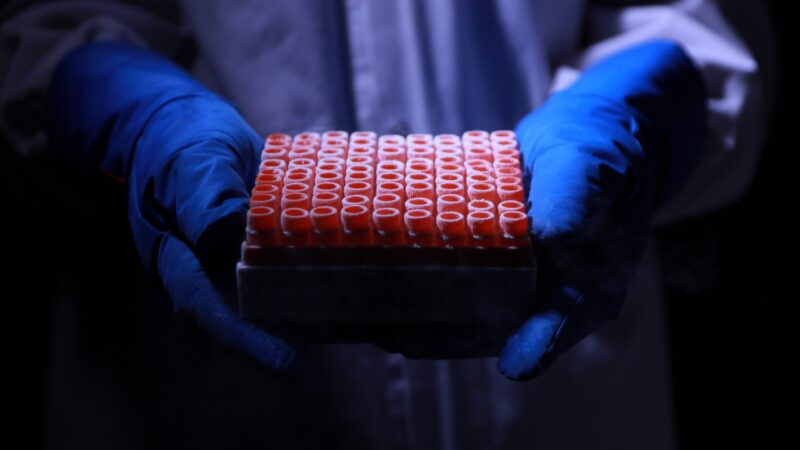 A case full of test tube samples being held by a scientist wearing blue gloves.