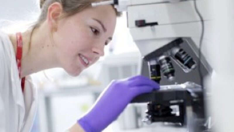Scientist analysing slides going into a microscope
