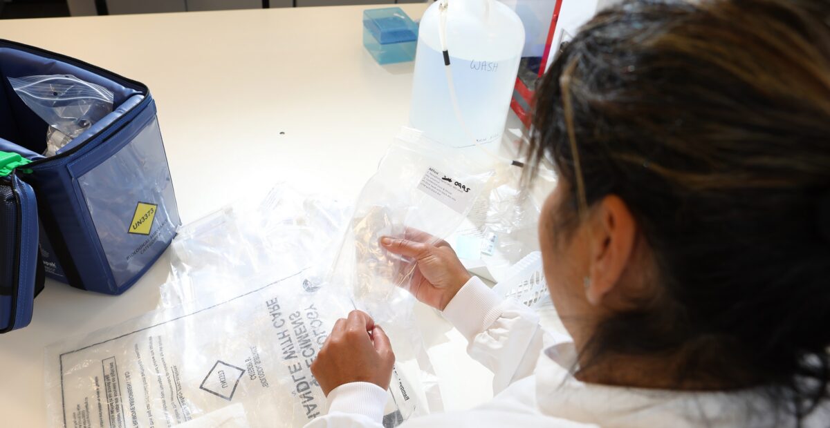 A scientist handling safety bags wearing a white lab coat.