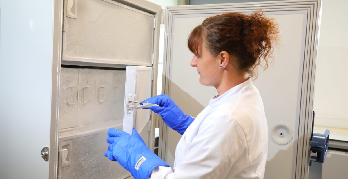 A scientist opening a hospital freezer, wearing a white lab coat and blue gloves.