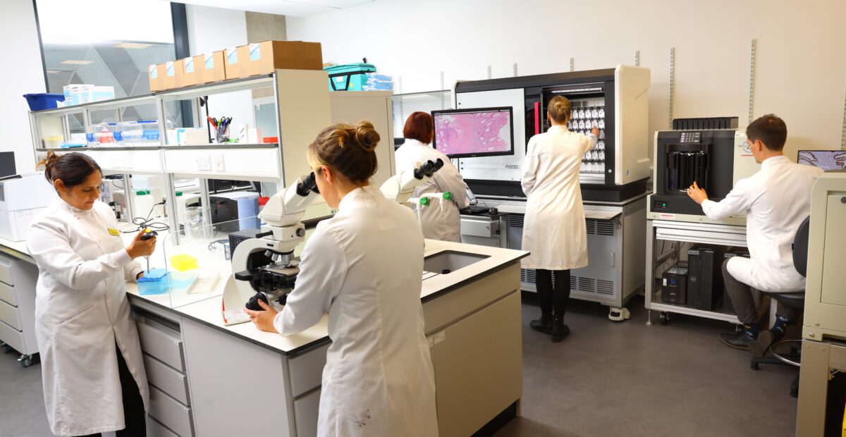 Five scientists working in the laboratory, all working through different tasks. There is an image taken from a microscope being displayed on a screen.