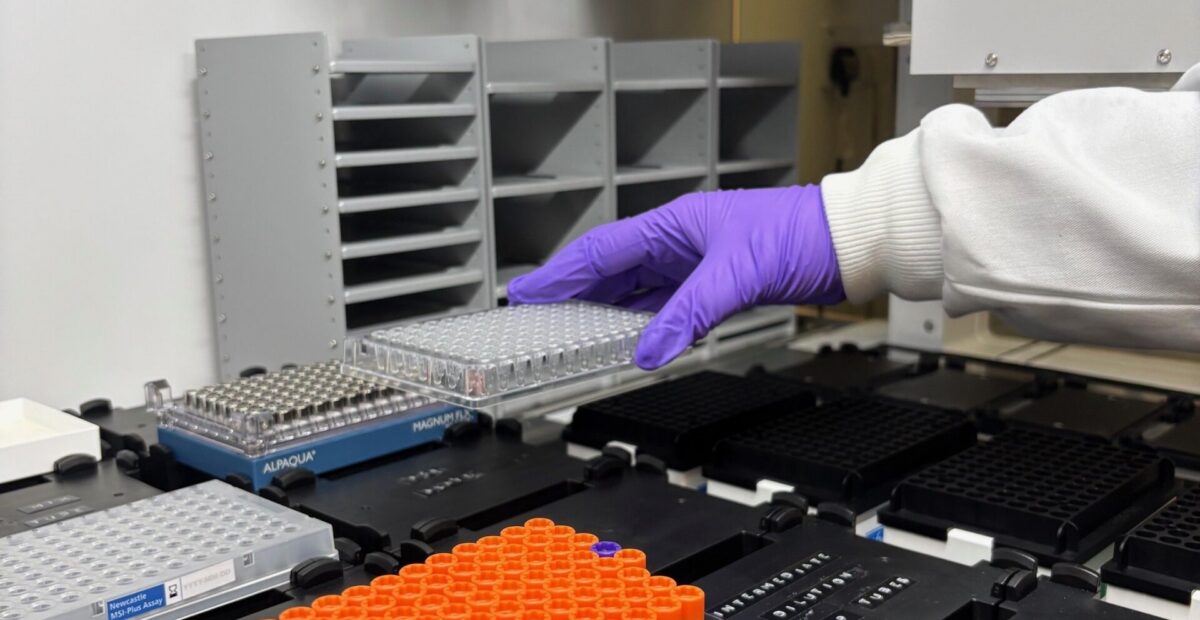 The MSI assay samples tray being placed into the robot by a member of staff wearing purple gloves.