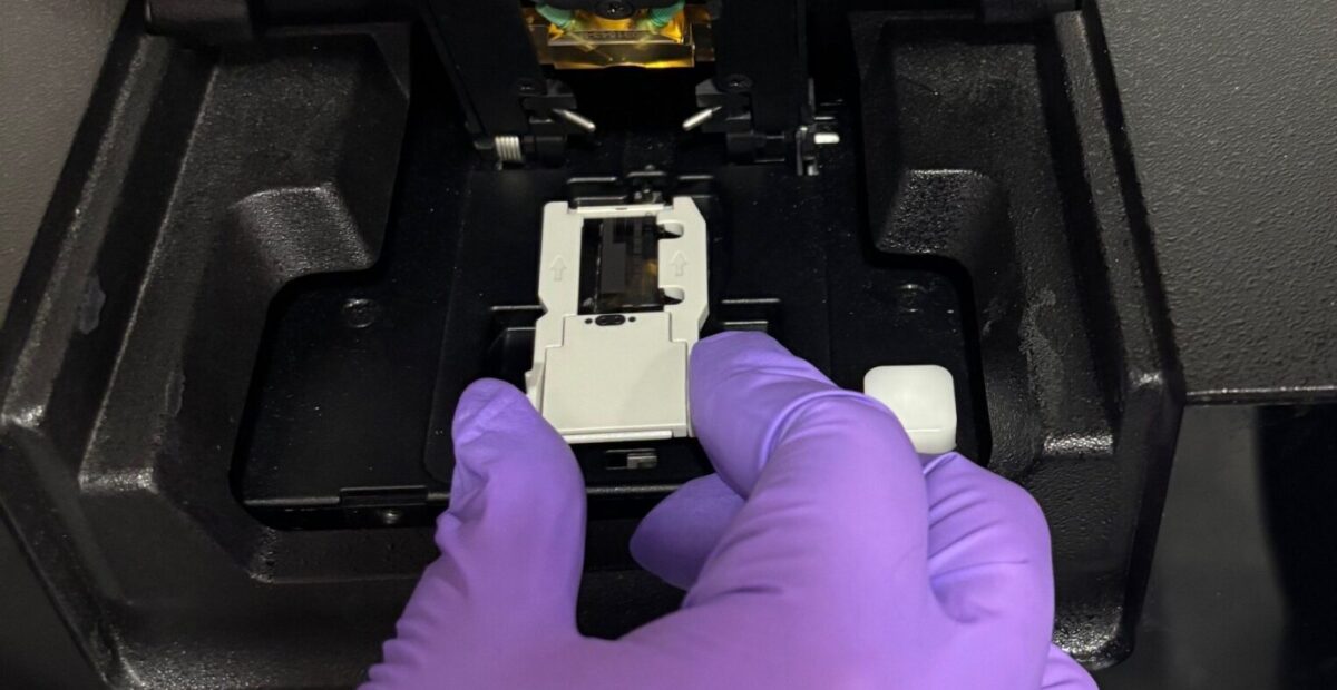 The MSI assay being placed into the machine which analyses the DNA.