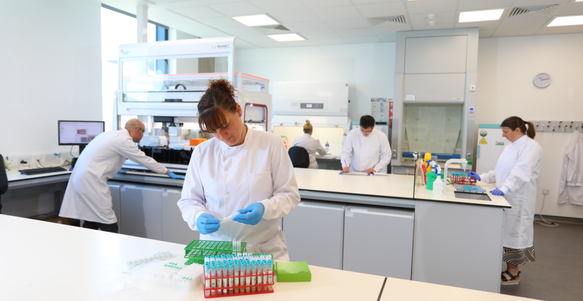 Press - the team at work in the lab