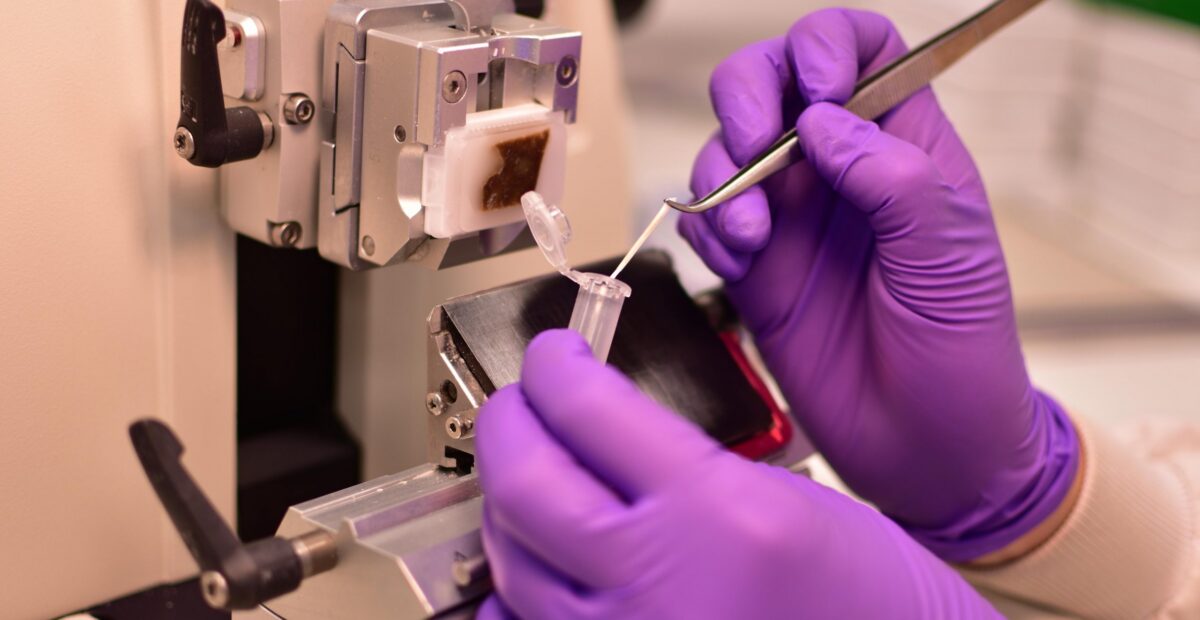A pair of gloved hands holding a test tube and tweezers to conduct a scientific procedure.